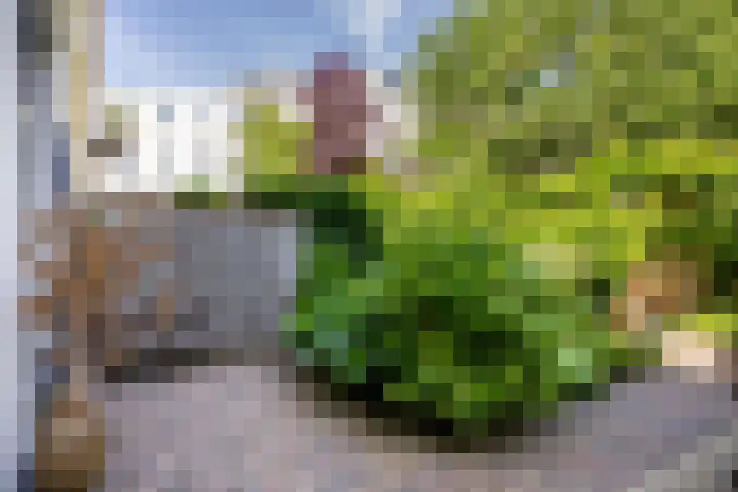 Geert Grootestraat 7 Deventer thumbnail 23