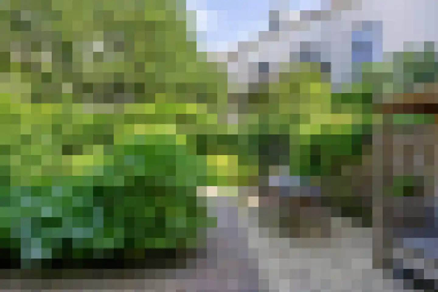 Geert Grootestraat 7 Deventer thumbnail 24