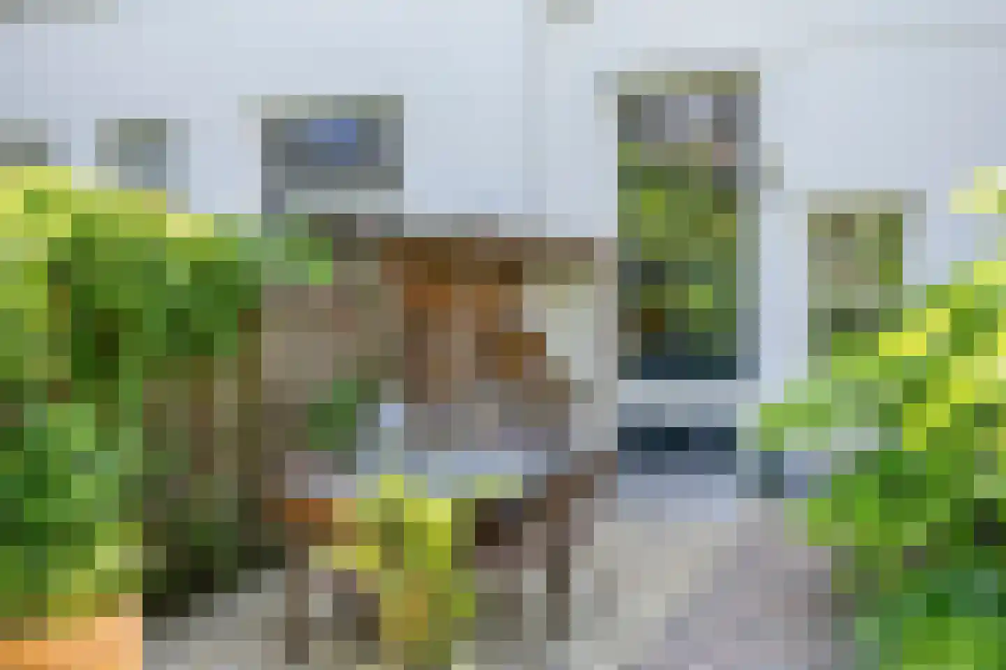 Geert Grootestraat 7 Deventer thumbnail 26