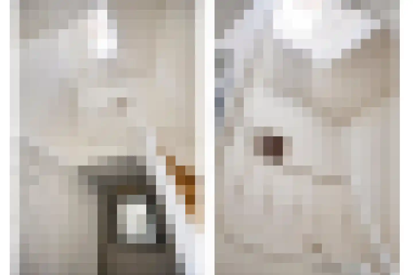Geert Grootestraat 7 Deventer thumbnail 34