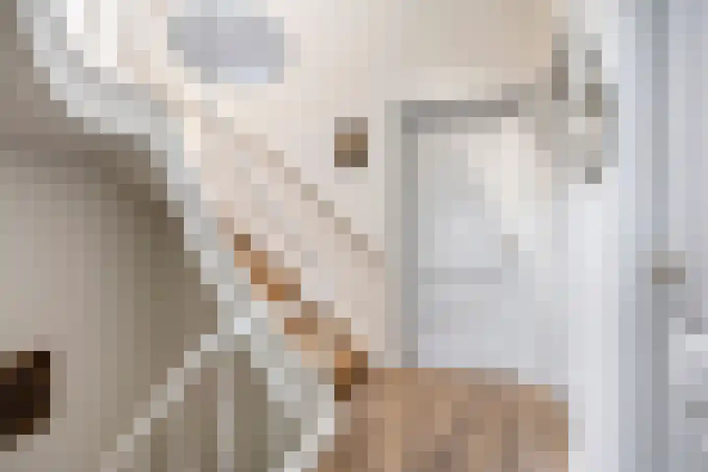Geert Grootestraat 7 Deventer thumbnail 35