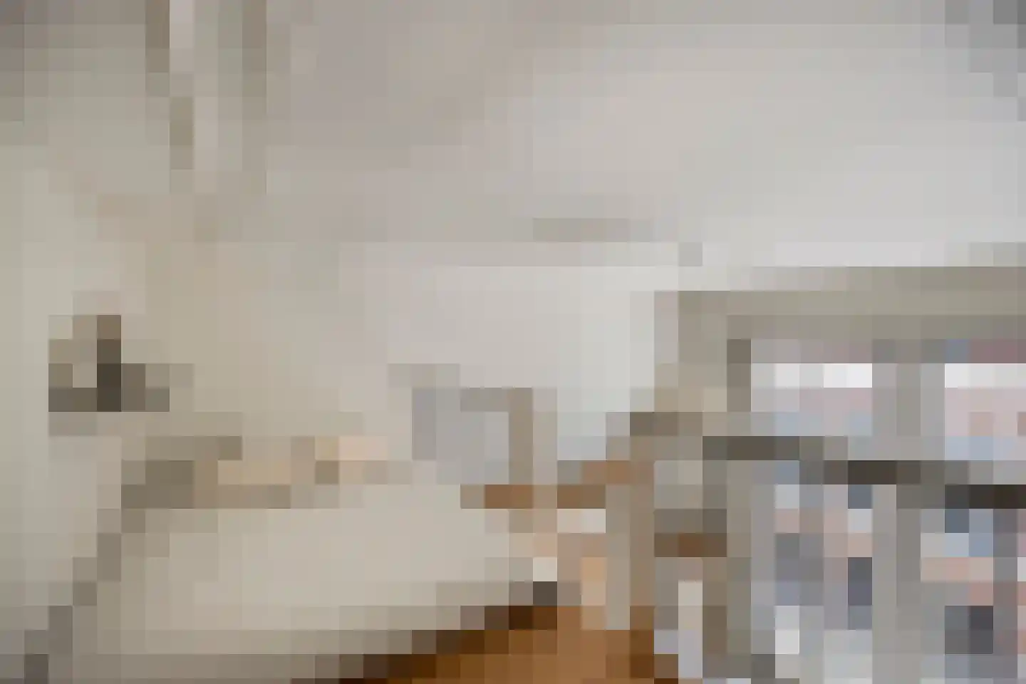 Geert Grootestraat 7 Deventer thumbnail 45