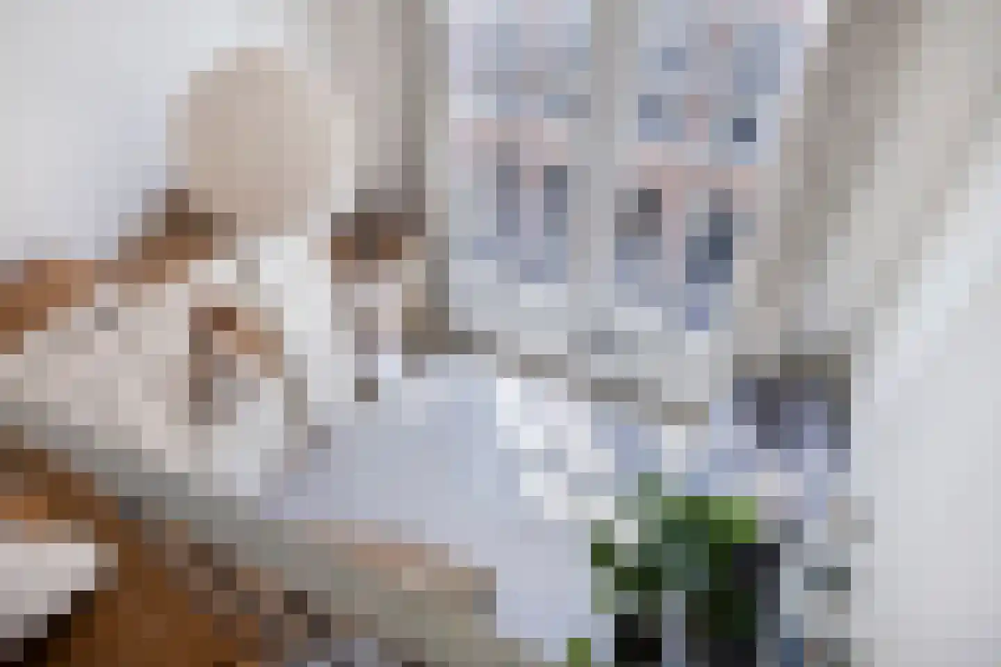 Geert Grootestraat 7 Deventer thumbnail 46