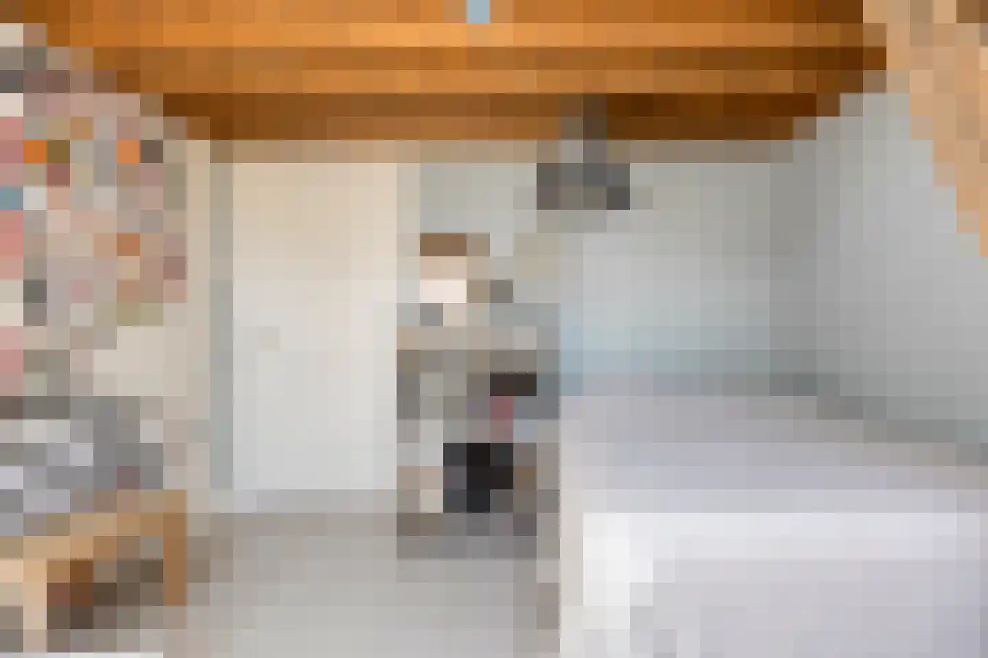 Geert Grootestraat 7 Deventer thumbnail 48