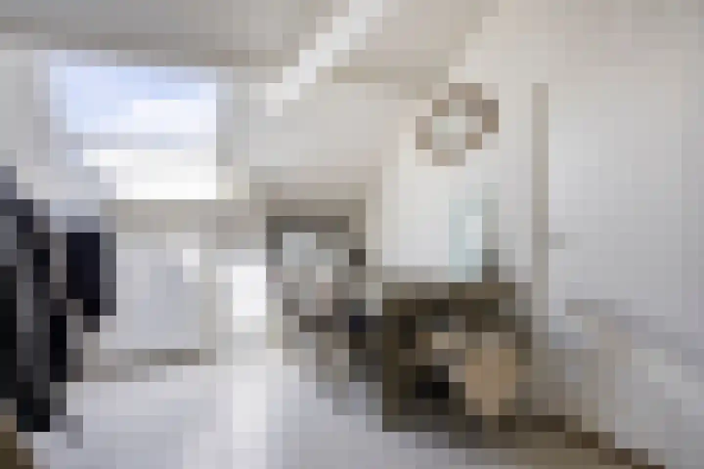 Geert Grootestraat 7 Deventer thumbnail 50