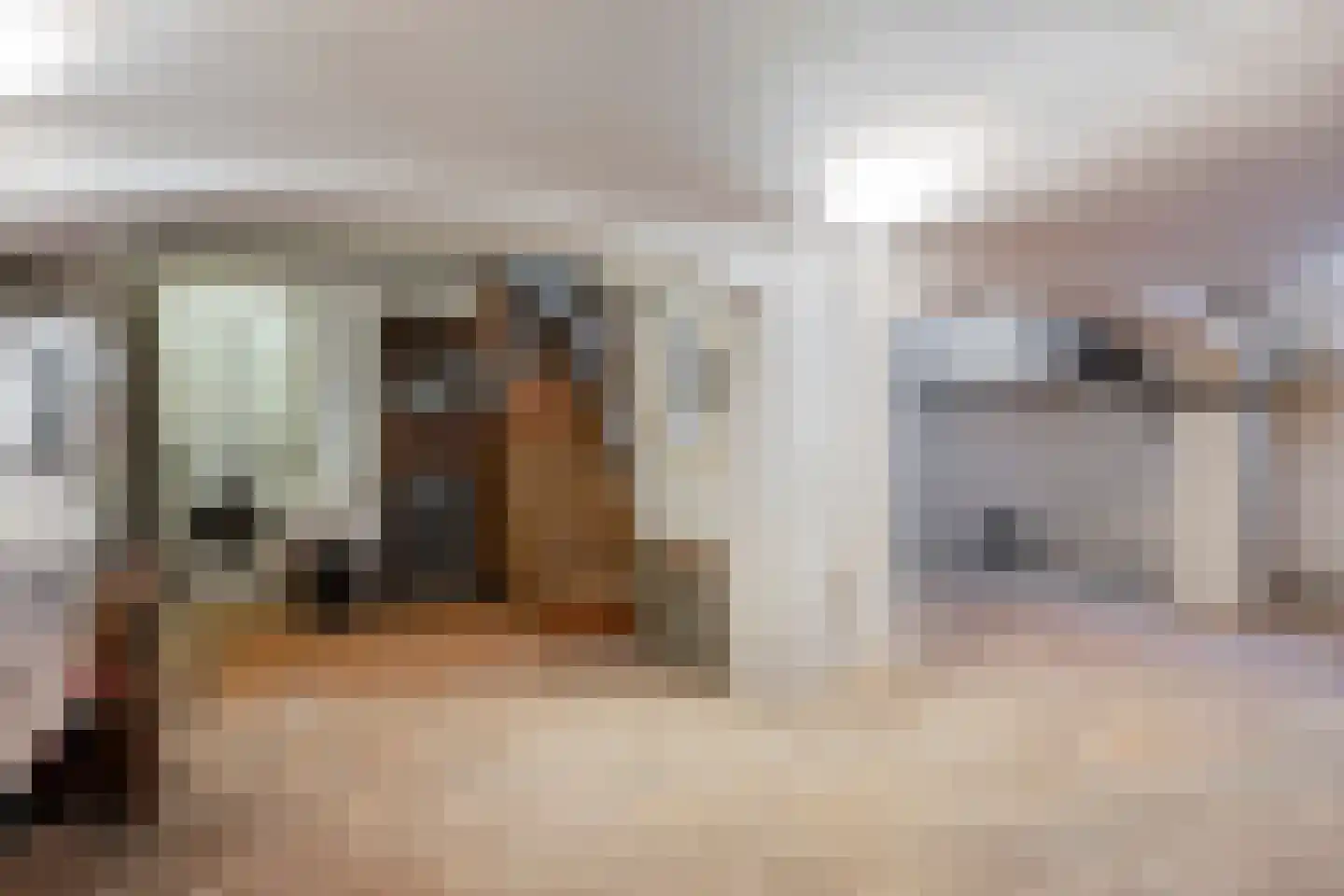 Geert Grootestraat 7 Deventer thumbnail 58