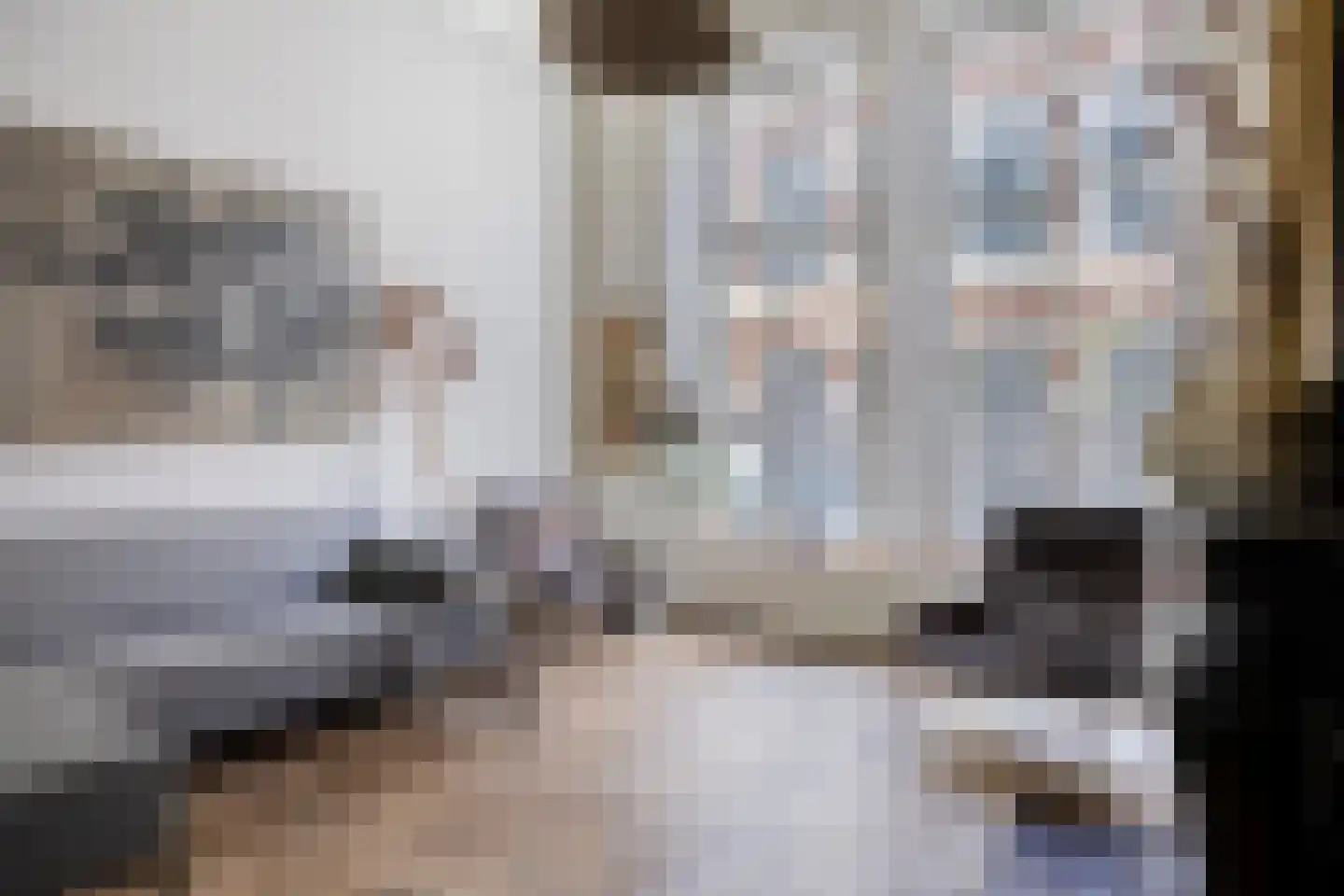 Geert Grootestraat 7 Deventer thumbnail 9