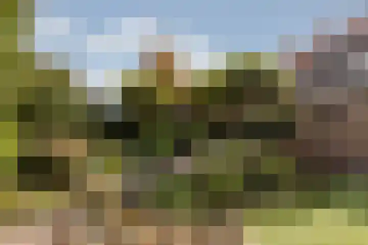 Geert Grootestraat 82 Doetinchem thumbnail 22