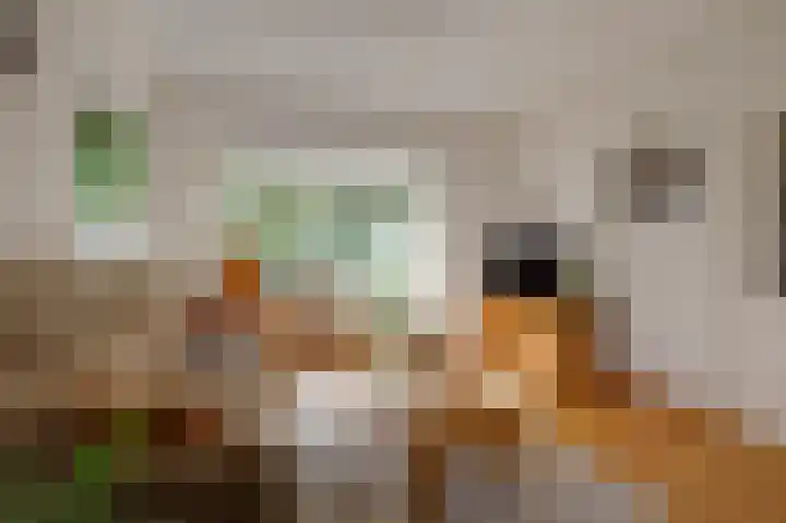 Geert Grootestraat 82 Doetinchem thumbnail 8