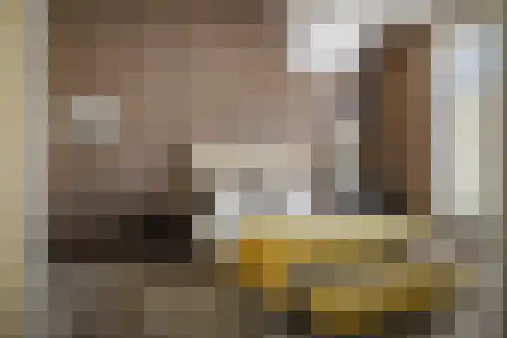 Geert Grootestraat 9 Deventer thumbnail 27
