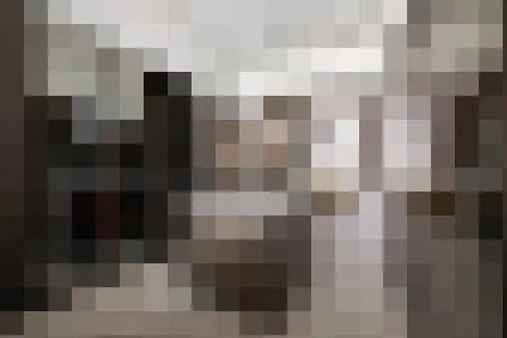 Geert Grootestraat 9 Deventer thumbnail 33