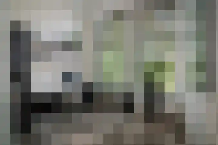 Geert Grootestraat 9 Deventer thumbnail 42
