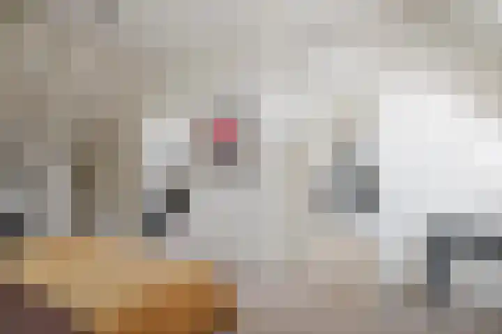 Geert Grootestraat 9 Deventer thumbnail 56