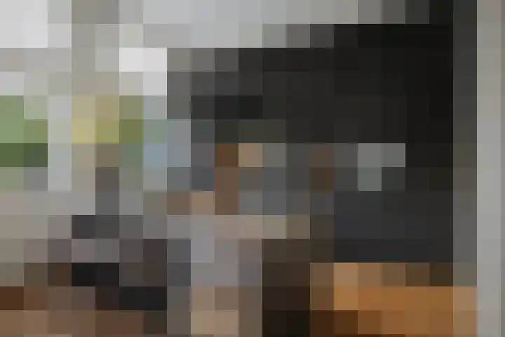 Geert Grootestraat 9 Deventer thumbnail 9