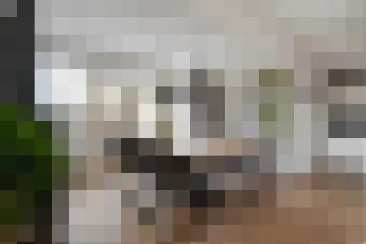 Geert Grooteweg 1 Zwolle thumbnail 12