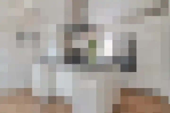 Geert Grooteweg 1 Zwolle thumbnail 16