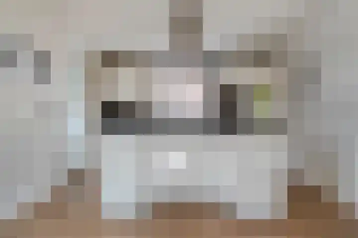 Geert Grooteweg 1 Zwolle thumbnail 17