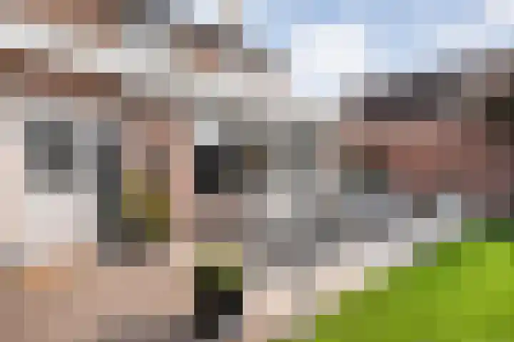 Geert Grooteweg 1 Zwolle thumbnail 34