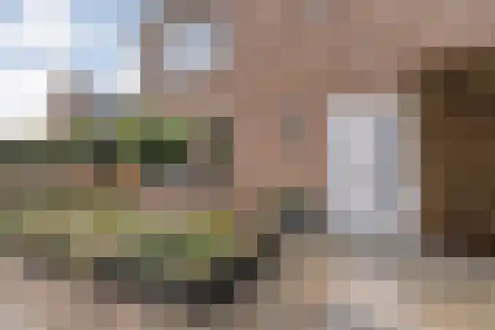 Geert Grooteweg 1 Zwolle thumbnail 4