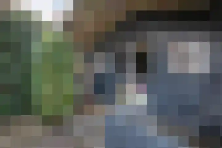 Geert Grooteweg 1 Zwolle thumbnail 45