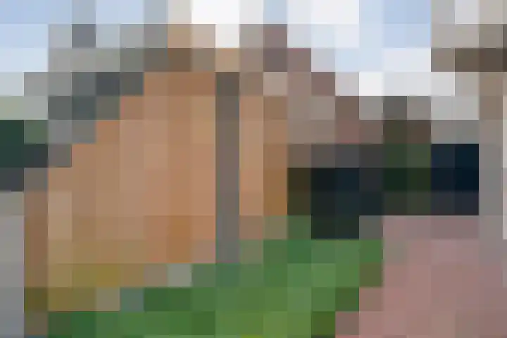 Geert Grooteweg 1 Zwolle thumbnail 47