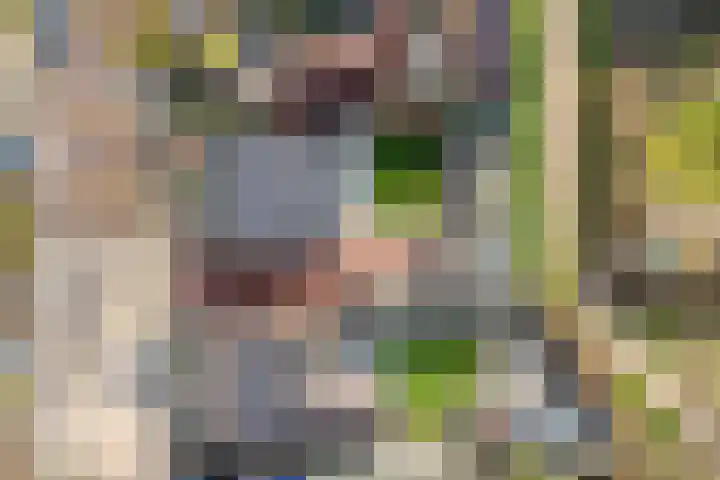 Geert Grooteweg 1 Zwolle thumbnail 48