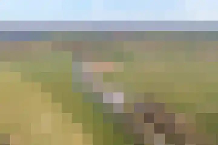 Geert Grooteweg 1 Zwolle thumbnail 53