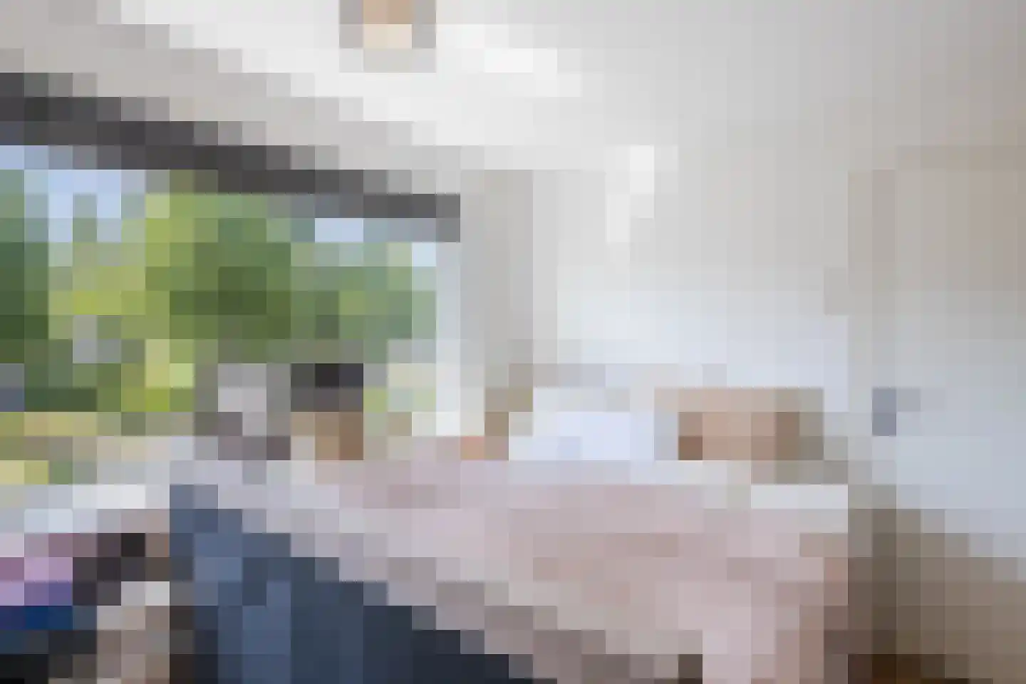 Geert Grooteweg 16 Zwolle thumbnail 25