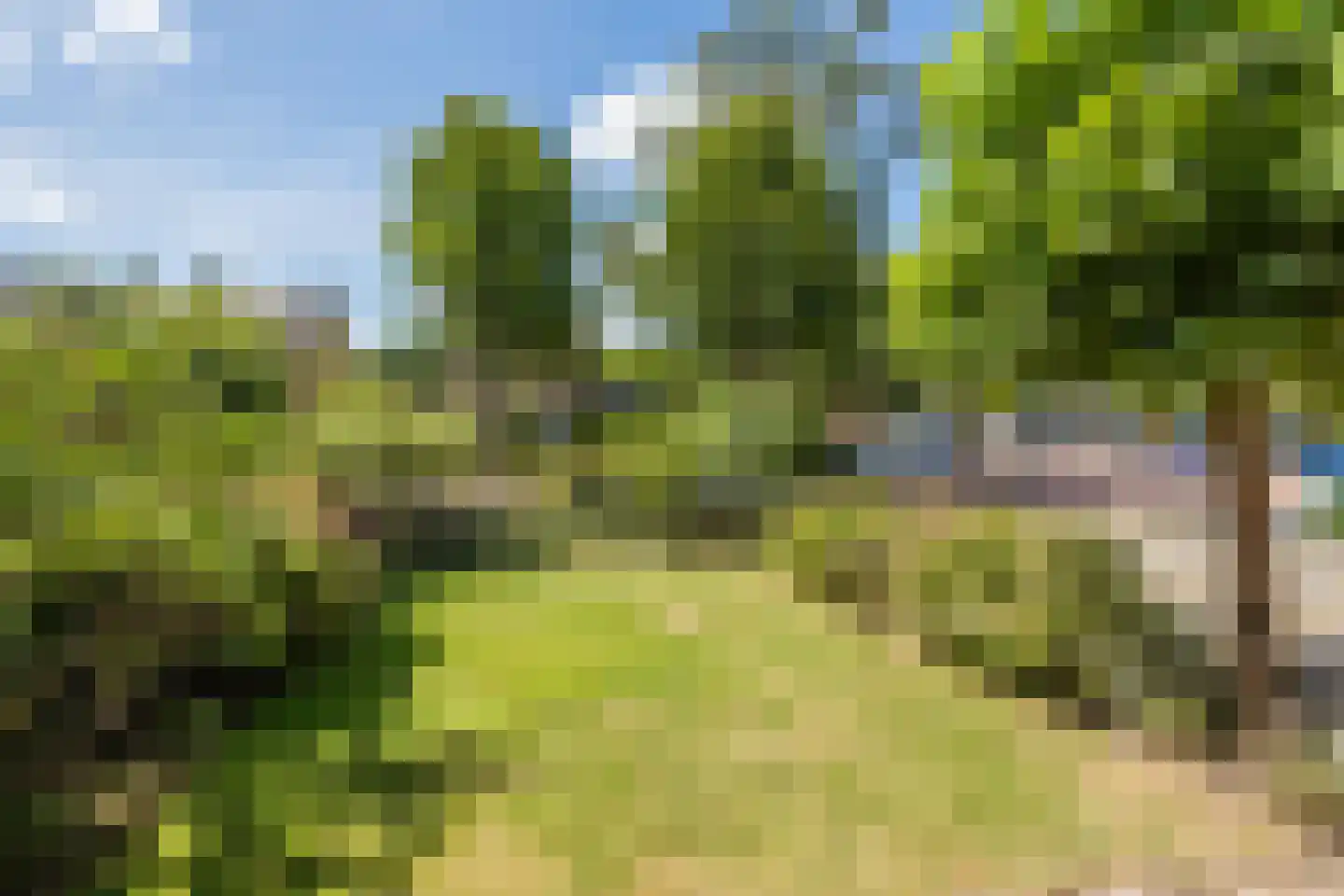 Geert Grooteweg 16 Zwolle thumbnail 4