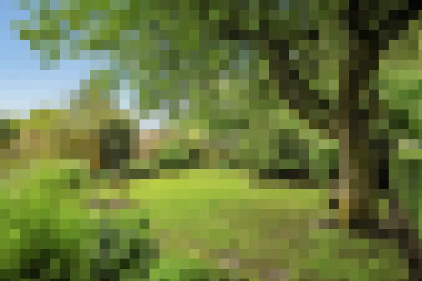 Geert Grooteweg 27 Zwolle thumbnail 39