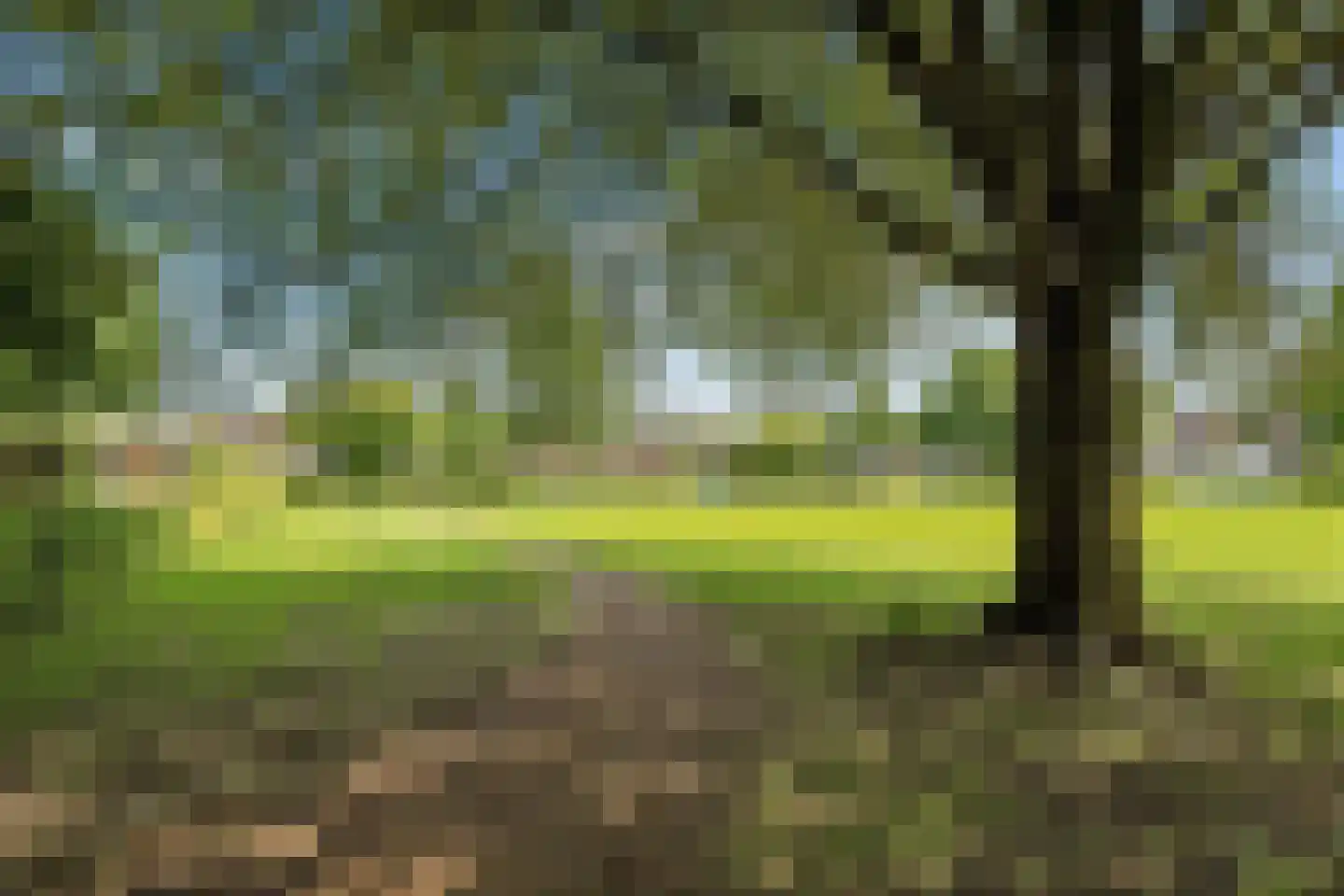 Geert Grooteweg 27 Zwolle thumbnail 42