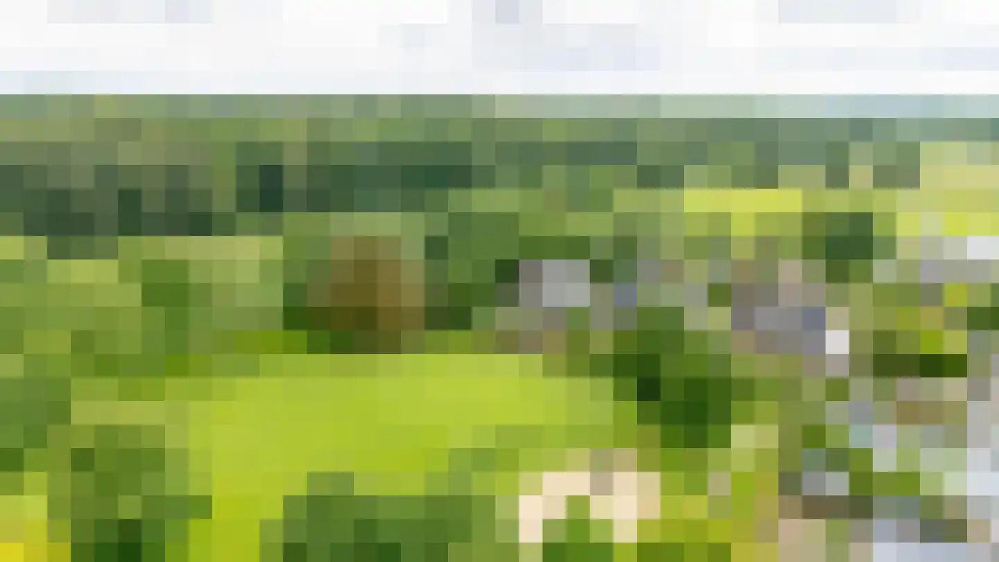 Geert Grooteweg 27 Zwolle thumbnail 44