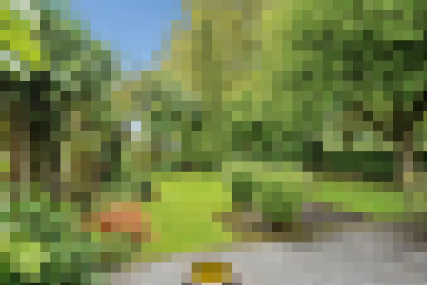Geert Grooteweg 27 Zwolle thumbnail 5