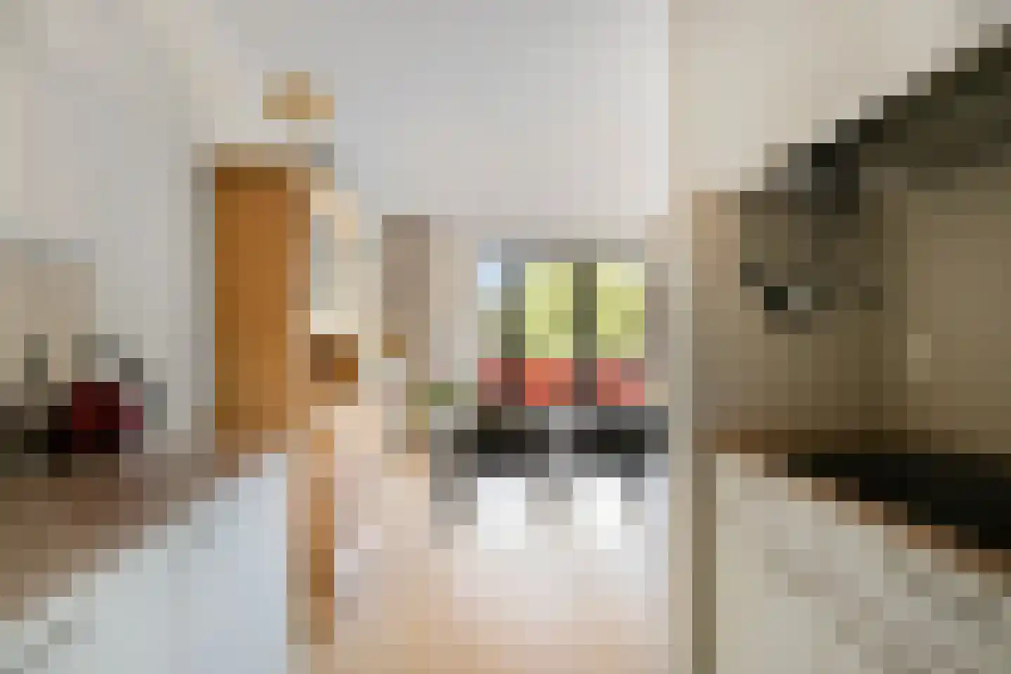 Geert Groteplein 32 Alkmaar thumbnail 10