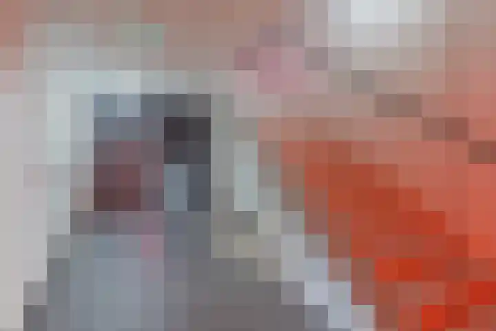 Geert Groteplein 33 Alkmaar thumbnail 10