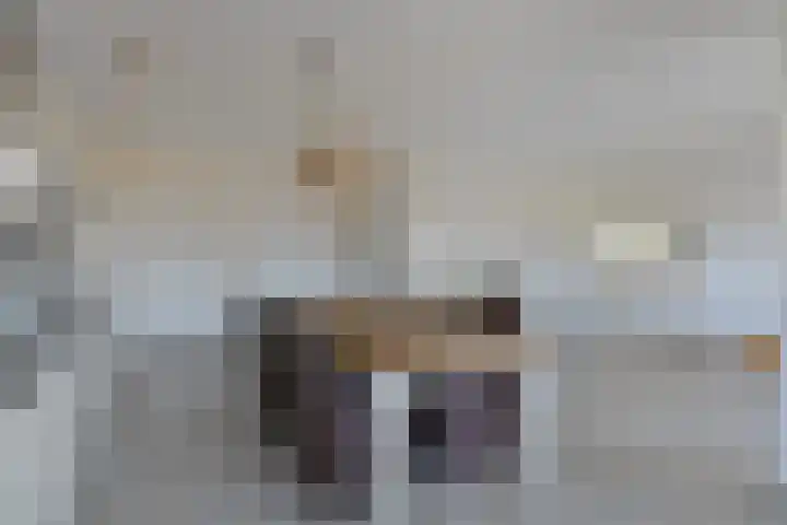 Geert Groteplein 33 Alkmaar thumbnail 15