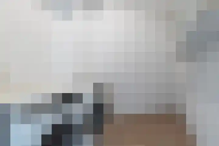 Geert Groteplein 33 Alkmaar thumbnail 24