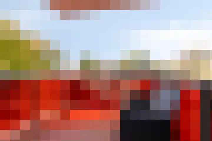 Geert Groteplein 33 Alkmaar thumbnail 27