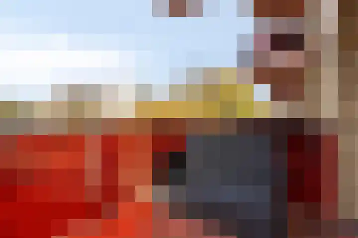 Geert Groteplein 33 Alkmaar thumbnail 28
