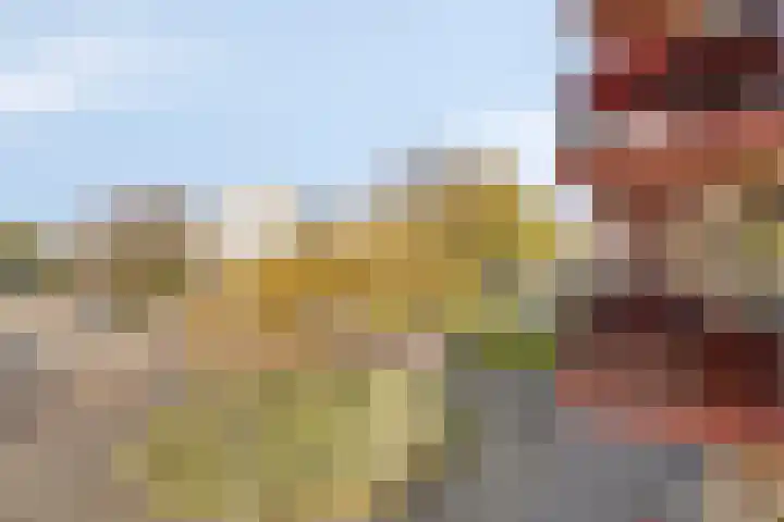 Geert Groteplein 33 Alkmaar thumbnail 29