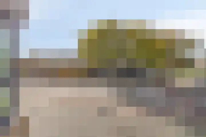 Geert Groteplein 33 Alkmaar thumbnail 30