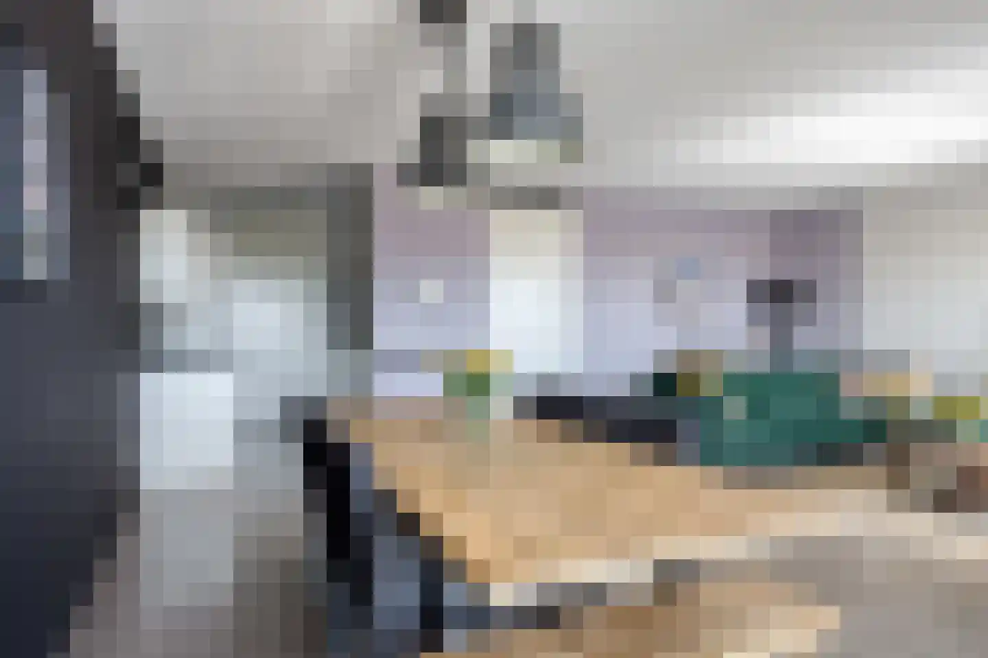 Geert Groteplein 84 Alkmaar thumbnail 20