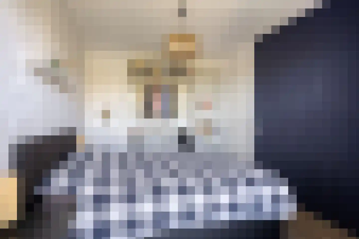 Geert Groteplein 84 Alkmaar thumbnail 29