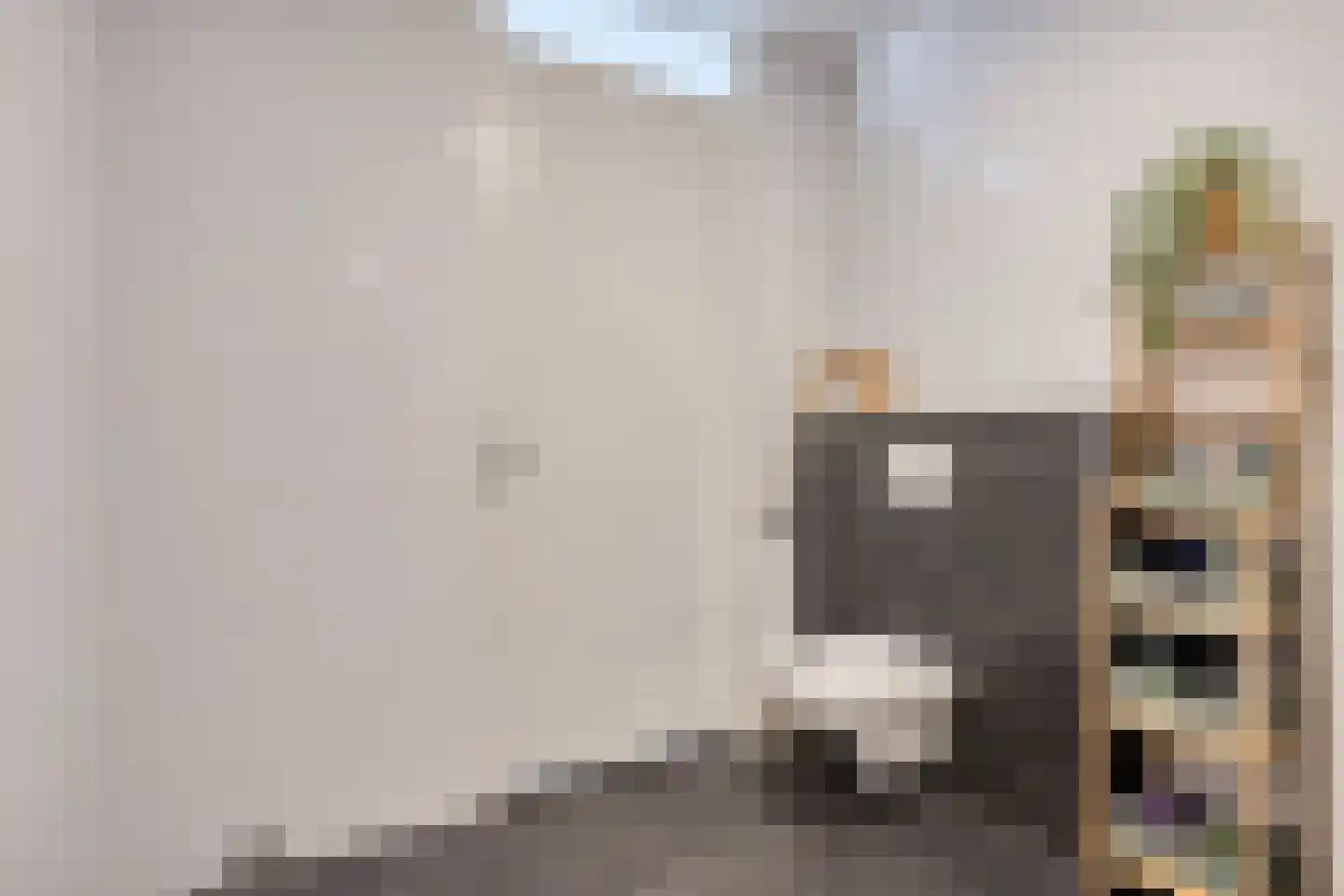 Geert Groteplein 84 Alkmaar thumbnail 33
