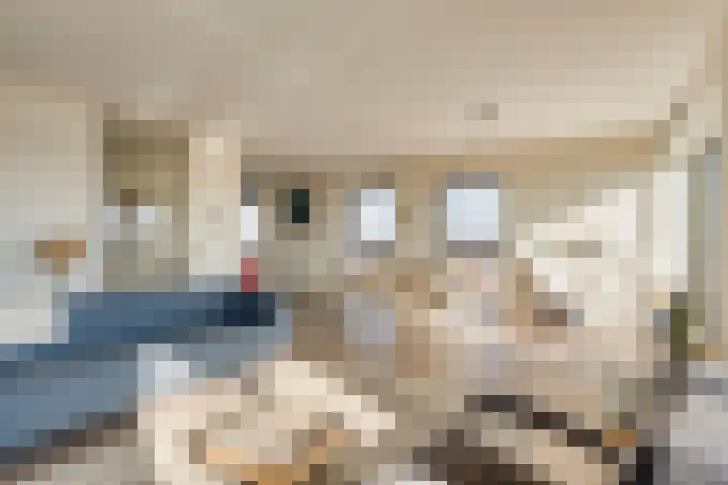 Geert Groteplein 94 Alkmaar thumbnail 17