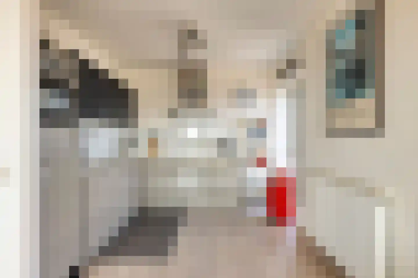 Geert Groteplein 94 Alkmaar thumbnail 19