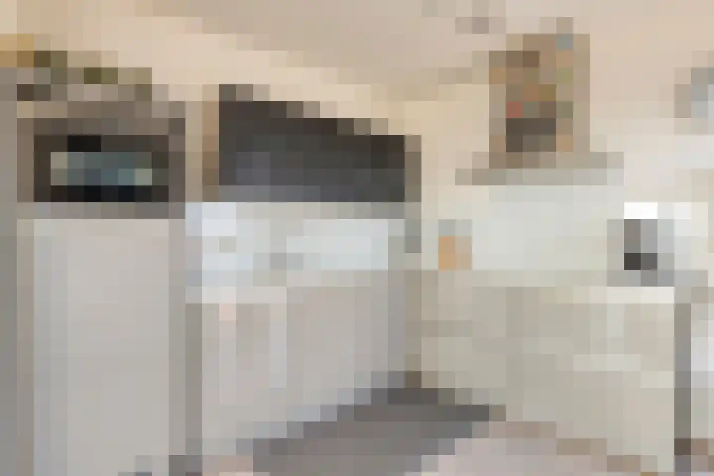 Geert Groteplein 94 Alkmaar thumbnail 20