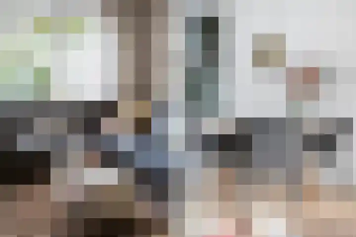 Geert Grotestraat 13 Dalfsen thumbnail 10