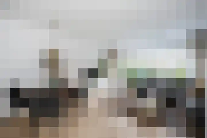 Geert Grotestraat 13 Dalfsen thumbnail 11