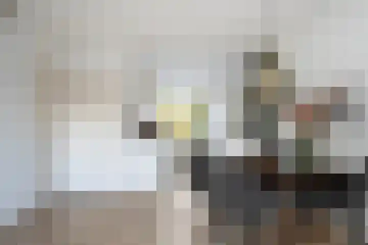 Geert Grotestraat 13 Dalfsen thumbnail 12